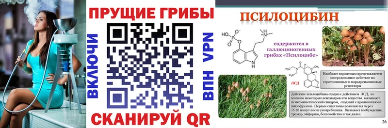 купить наркотики цена  Юрюзань  Псилоцибиновые грибы Magic Shrooms 